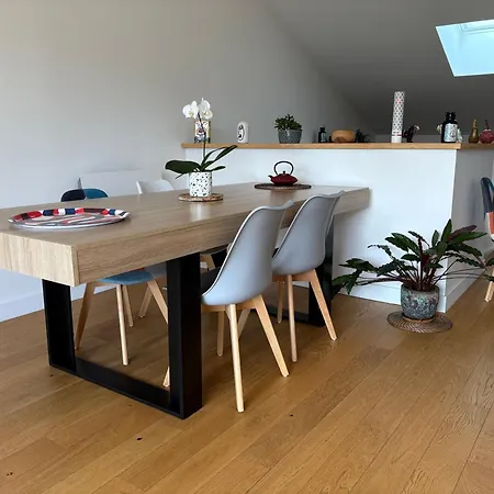 Splendide Duplex Saint-michel - Terrasse & Garage Appartement Bordeaux