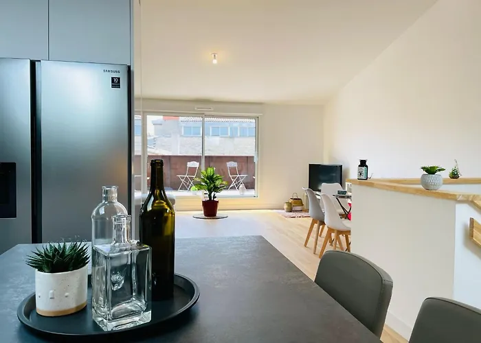 Splendide Duplex Saint-michel - Terrasse & Garage Апартаменты Бордо