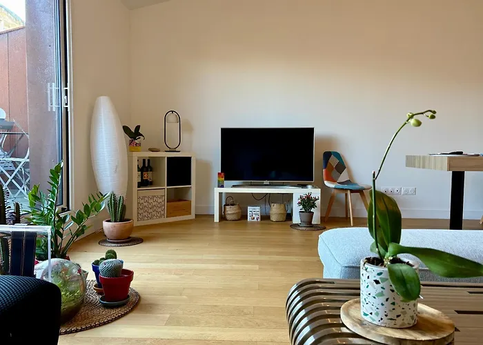 Splendide Duplex Saint-michel - Terrasse & Garage