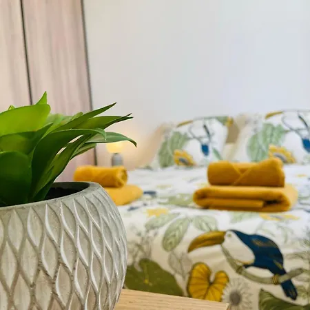 Appartamento Splendide Duplex Saint-michel - Terrasse & Garage *